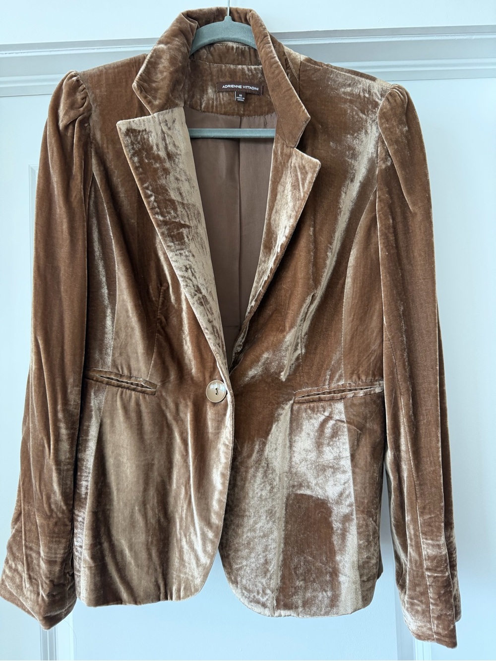 Adrienne Vittadini Shimmering Brown Velvet Blazer